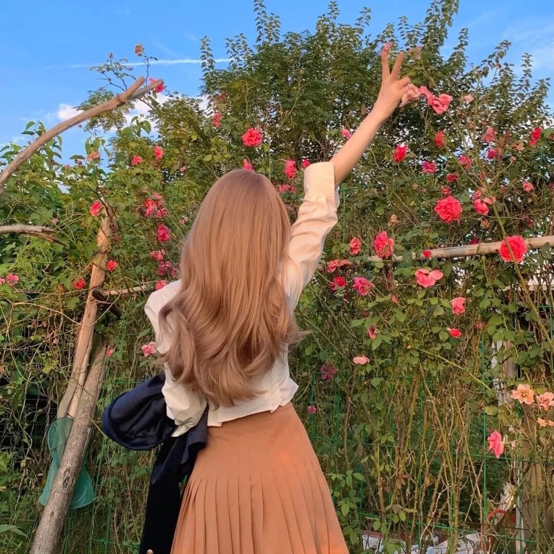 机密档案实录火蝴蝶